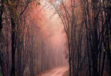 尼姆对战尼斯，强强对话引人期待