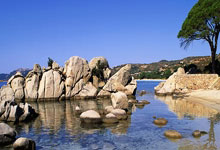 尼姆对战尼斯，强强对话引人期待